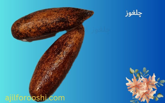 قیمت و خرید آنلاین چلغوز