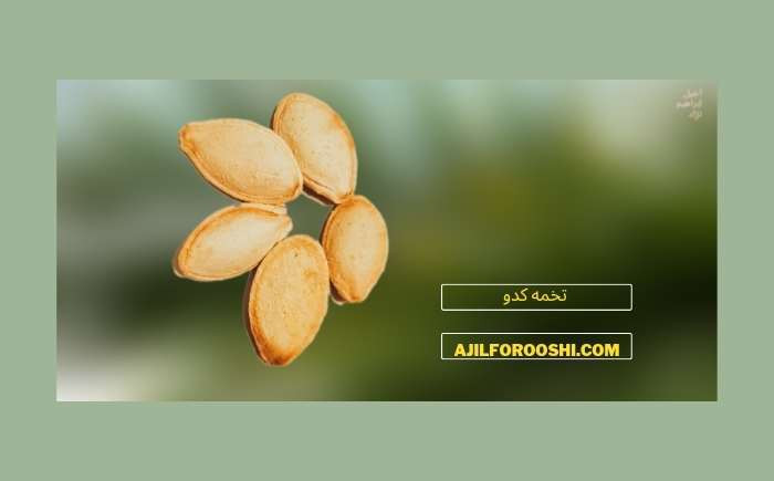 قیمت و خرید انواع تخمه کدو